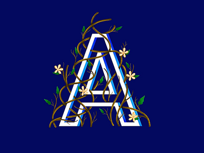 Letter A colors dongtrieuz illustration letter typography