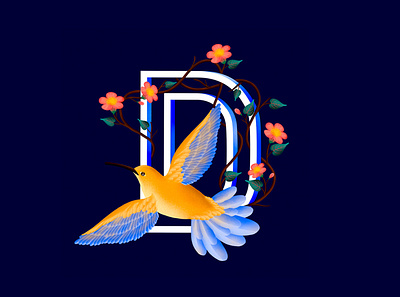 Letter D colors design dongtrieuz illustration letter typography