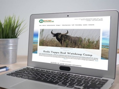 Koshi Tappu Bird Watching Camp design indesignmedia ui ux web development webdesign