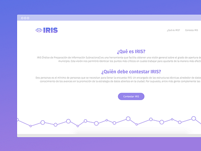 IRIS interface ui ux web website