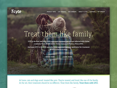 Tcyte.com Website rebrand ui user interface branding web design website