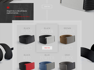 Belt Store Pitch belts e commerce pitch shopping store ui user interface web design website