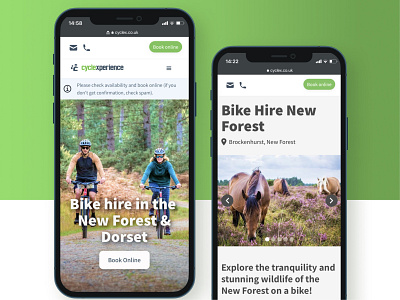 Bike Rentals & Tours Website 🚲