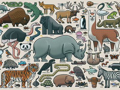 wildlife collage drawing