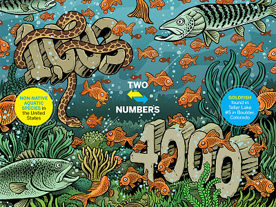A Plague of Goldfish | Newsweek bass editorial fish goldfish illustration mario newsweek sea life tiger muskie two numbers underwater zucca