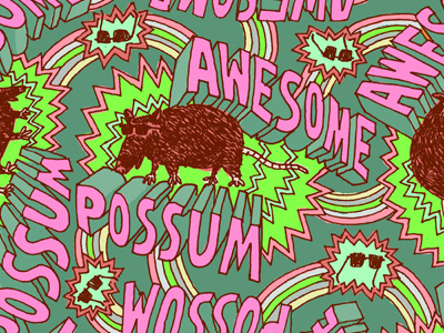Awesome Possum Pattern