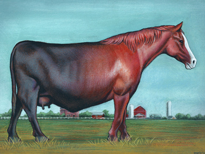 A Cow is a Horse, of Course, of Course cow editorial illustration horse horse meat scandal meat