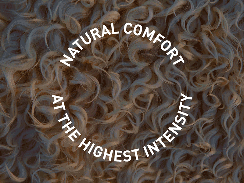 Natural Wool Comfort by Odlo animation branding design gif graphic design icon iden identity illustration logo motion graphics social media vector