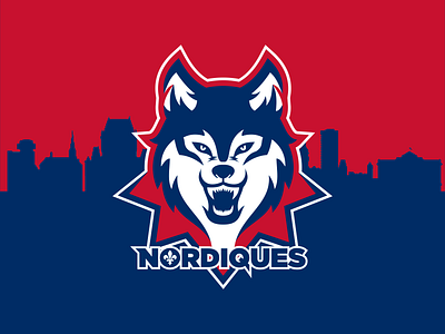 Logo concept Quebec Nordiques art concept hockey illustration logo nhl nordiques quebec