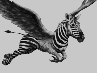 Zebrabirds logo