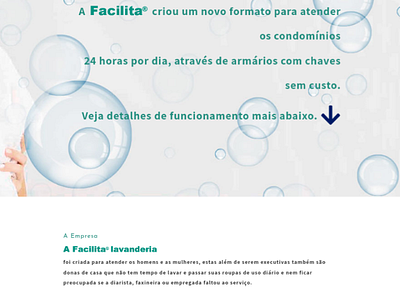Web site brasil design esnieto facilita lavanderia pirituba sampa site snieto web website