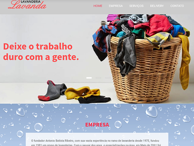 Web site brasil esnieto lavanda lavanderia pirituba sampa site snieto web website