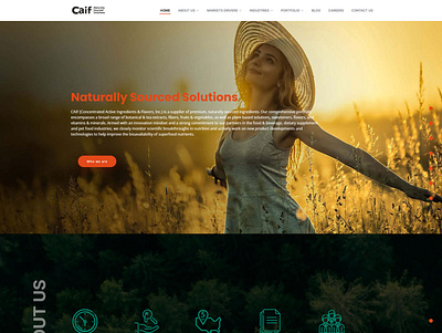 Site CAIF brasil design esnieto pirituba sampa site snieto web