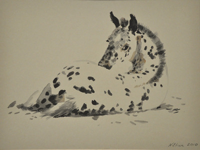Spotted filly and black horse spots watercolor white