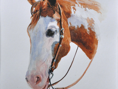 Paint cowboy horse paint watercolor western