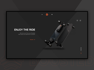 Boosted Boards Website Concept