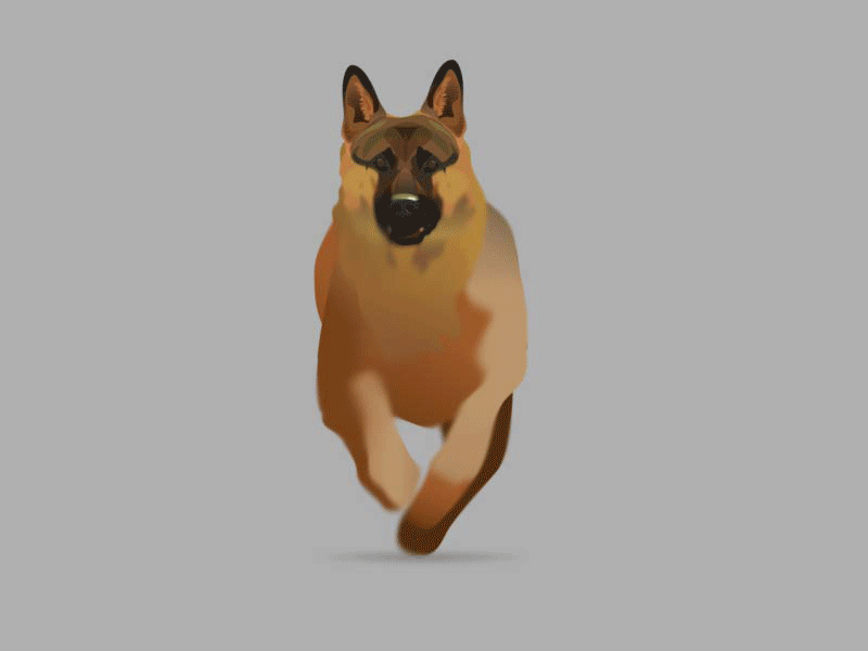 German Shepherd Run 2d animal animals animated dog german german shepherd gif illustration run