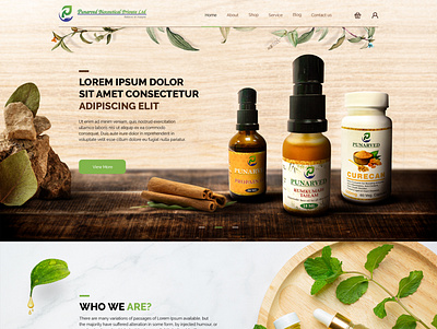 Punarved Bioceutical branding design graphic design illustration ui ux vector