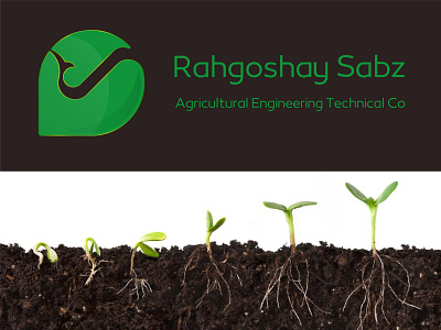 Rahgoshay Sabz / Logo Design / 2019 adobe illustrator agriculture branding crops design farm farming graphic design illustration logo logotype minimal plants seed typography ui vector