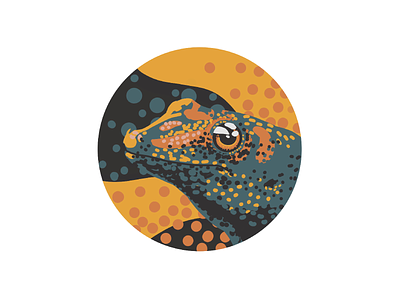Gecko digital art digital painting gecko illustration lizard procreate
