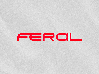 Feral Typo branding graphic design logo