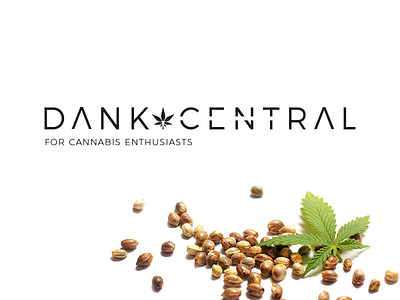 Dank Central Logo black concept font identity logo logotype