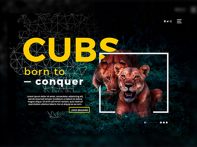 Cubs Landing Page concept landingpage webdesign website