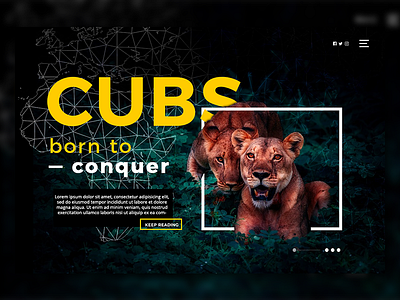 Cubs Landing Page