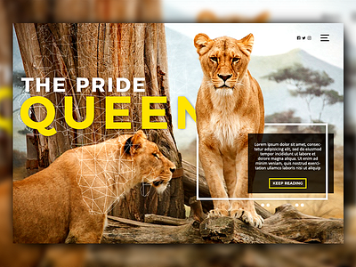 Lions Slide 2 concept landingpage webdesign website