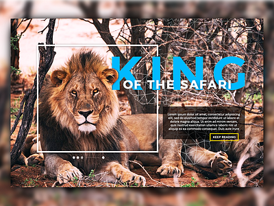 Lions Slide 3 concept design landingpage web website