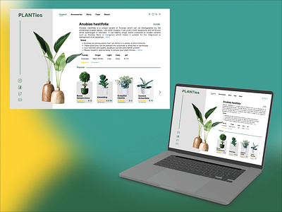 PLANT WEB UI DESAIN app design ui web