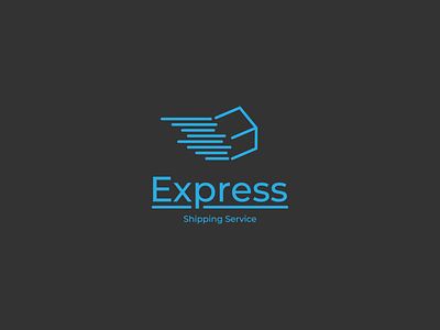 Express Shipping service logo adobe illustrator cc branding cargo design express logo logo logodesign send shipping logo vector