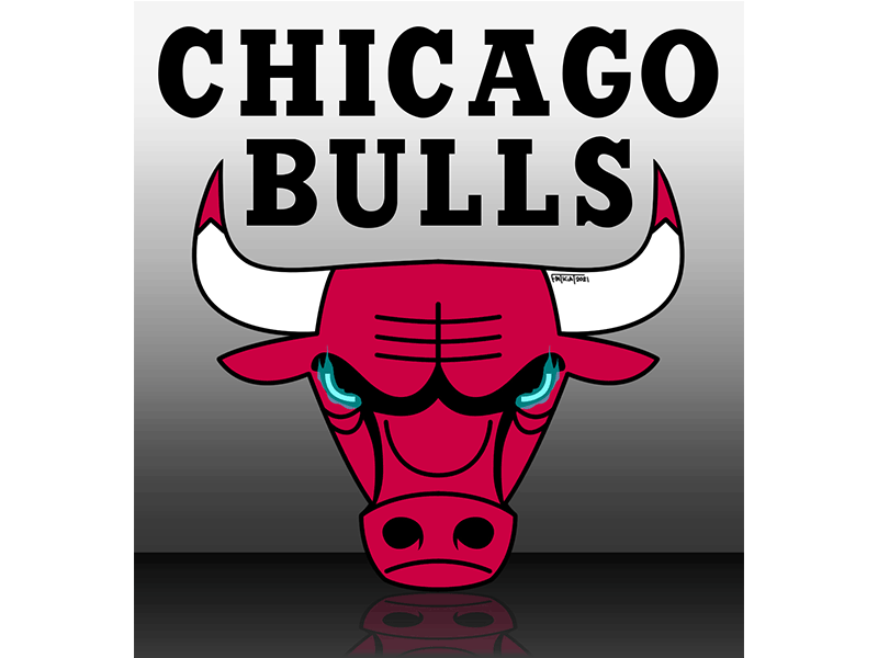 chicago bulls logo vector