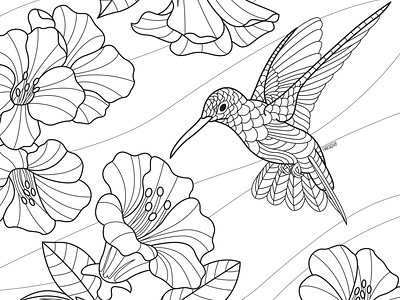 HummingBird design digitalart illustration illustrator lineart sketch