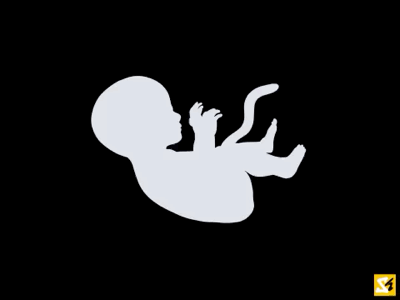 Generic Life animation birth death frame by frame life procreate shape shifter transform