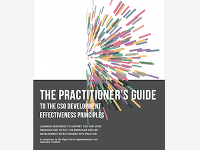 CSO Practitioner's Guide non profit report