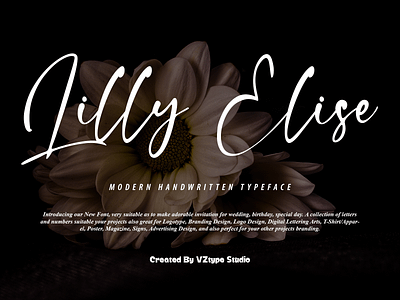 Lilly Elise designfont