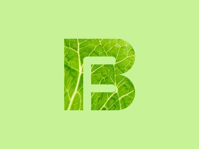 BeFit Foods Identity - Lettuce befit food logo