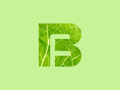 BeFit Foods Identity - Lettuce