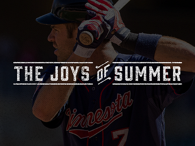 Twins Baseball: Joys of Summer