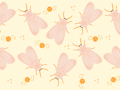 Bombyx mori butterfly digitalart illustration insect pattern procreate