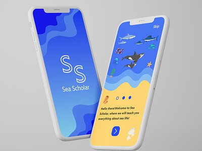 Sea Scholar app design ui ux