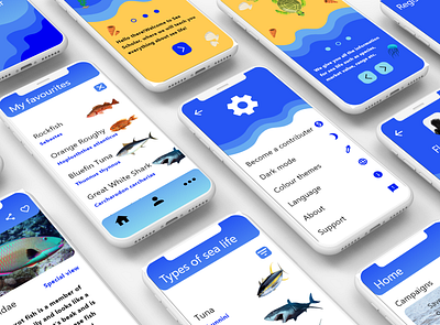 Sea Scholar app design ui ux