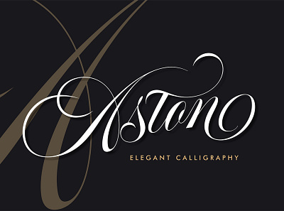 Aston Script Pro art artist artwork branding calligraphy design designer font graphicdesign graphicdesigner handlettering illustration illustrator lettering logo type typedesign typography typographydesign typographyinspired