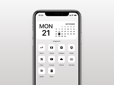 IOS 14 Minimalistic Icon Pack - Light forsale icons iconset ios ios14 iosicon minimal minimalism minimalist mobile mobile app modern sale