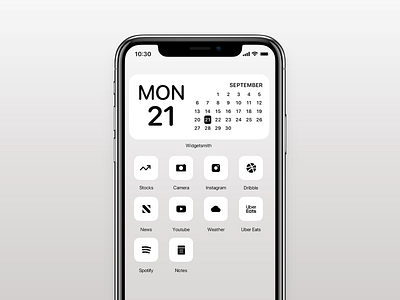 IOS 14 Minimalistic Icon Pack - Light