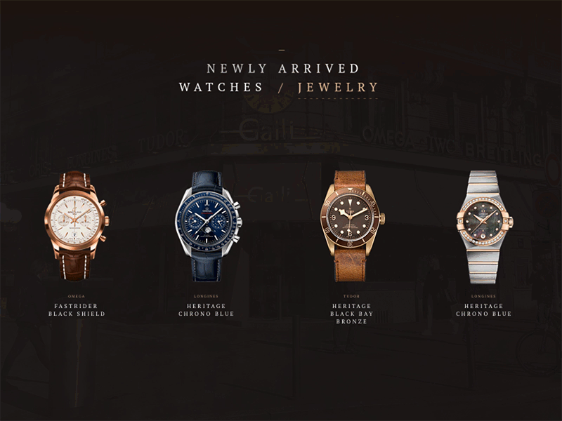 Swiss watch and jewelry store ecommerce jewelry shop store swiss watch web design website