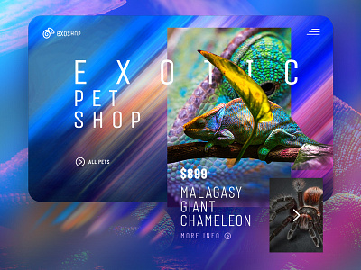 Exotic pets marketplace concept. animal chameleon ecommerce exotic minimal pets shop ui ux web design webdesign website