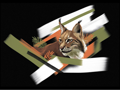 Lynx illustration animal booklet branding design drawing graphic design idea illustration polygraphy zoo