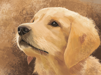 "Golden retriever" by Masha Van for Intalence Art animal art digital art digital illustration dog drawing retriever